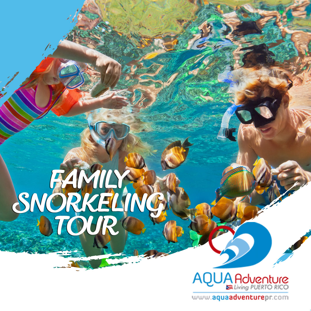 Gráfico Redes Sociales Aqua Adventure 1