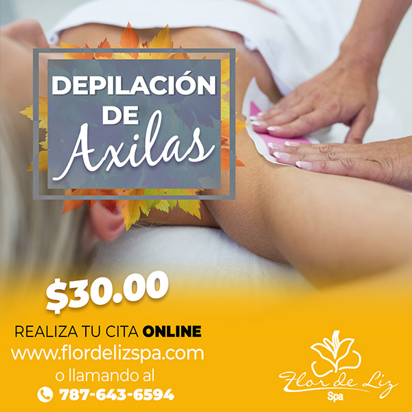 Gráfico Redes Sociales Flor de Liz Spa - Microdermoabrasión