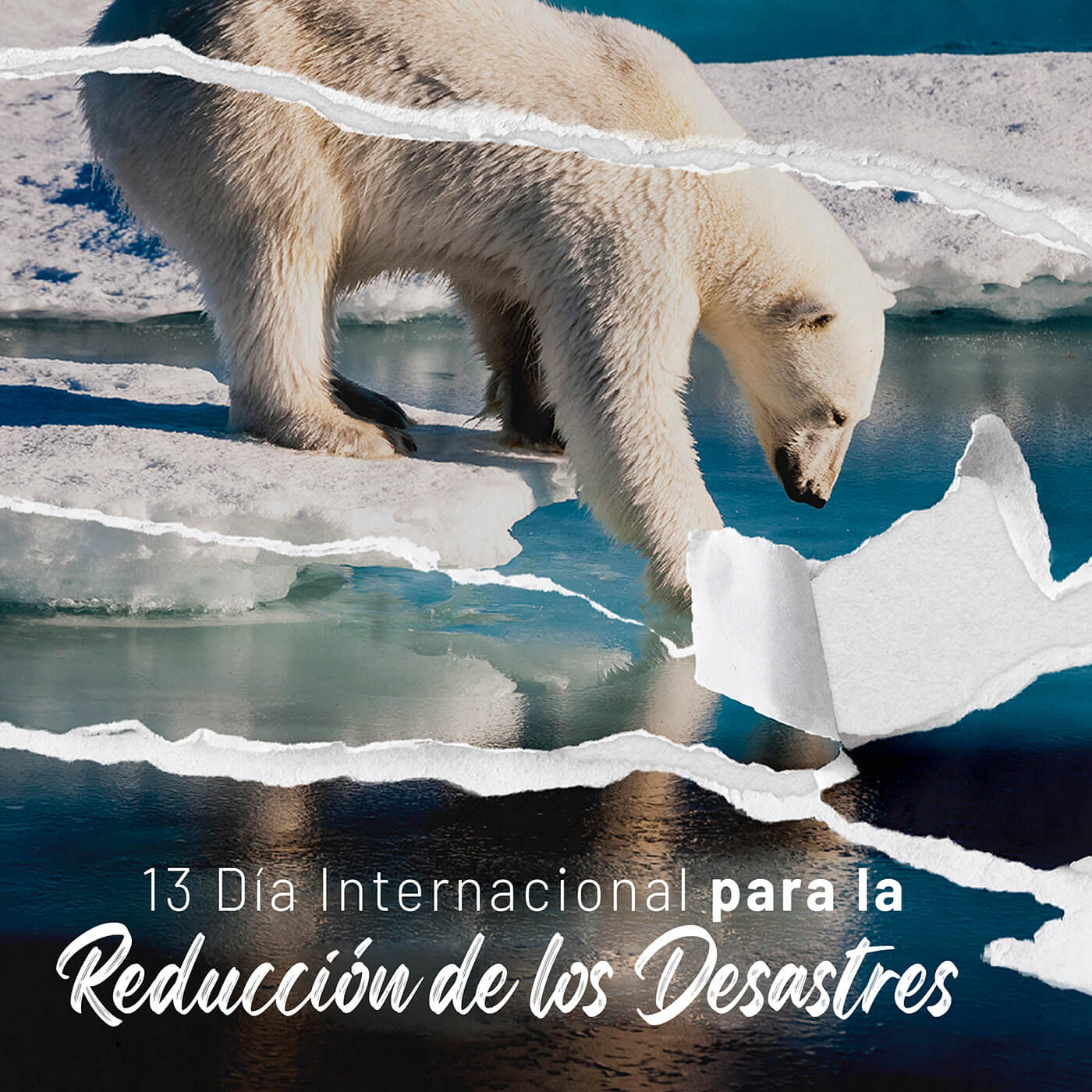 Gráfico Redes Sociales Sur Futuro - Día Internacional Reducción Desastres